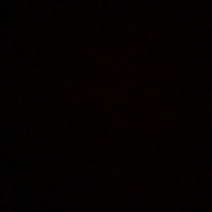 Meet your Posher, Daveion